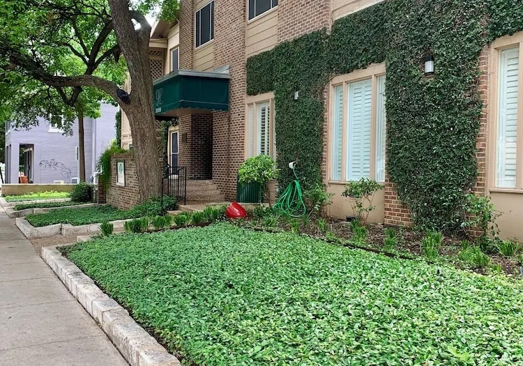 austin texas cooking classes dorm building